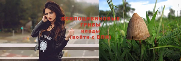 винт Кодинск