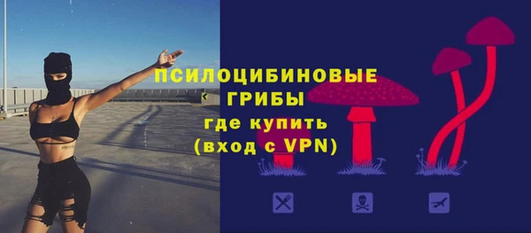 тгк Абаза